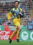 David Seaman