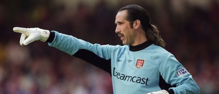 David Seaman