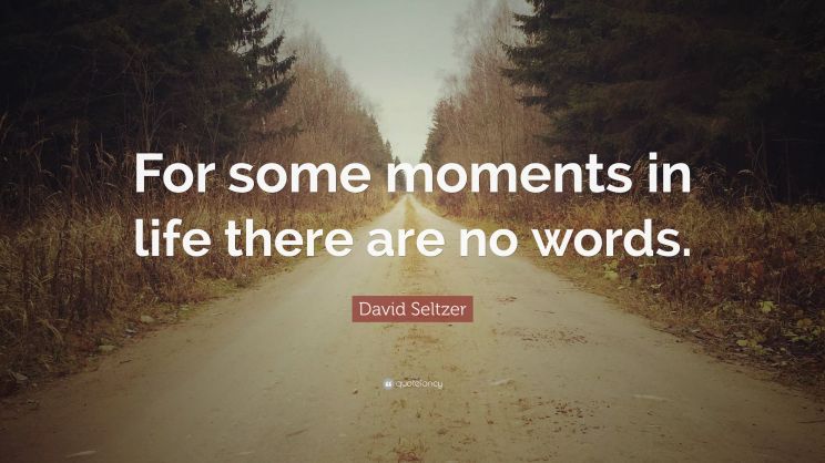 David Seltzer