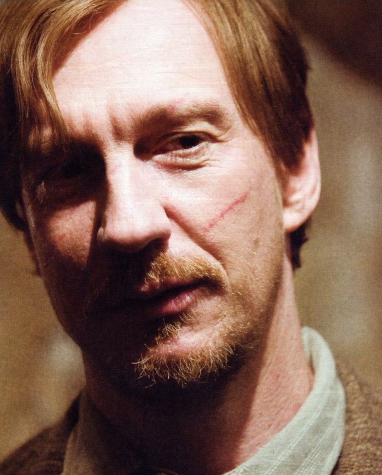 David Thewlis