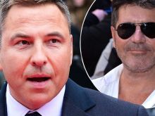 David Walliams photo