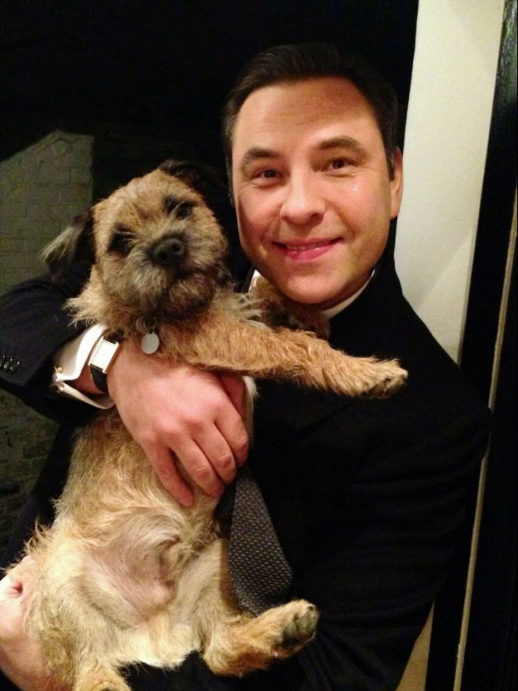 David Walliams