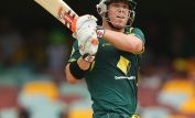 David Warner