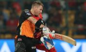 David Warner