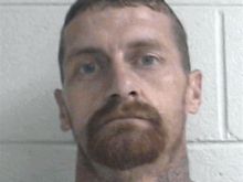 David Wayne