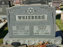 David Weisberg