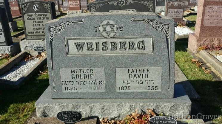 David Weisberg