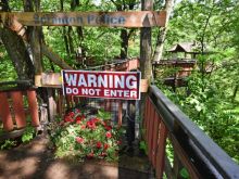 David Wenzel #3813379 picture (Landscape Medium)