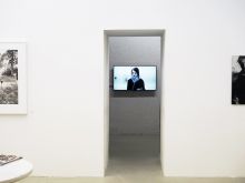 David Wiberg