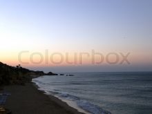 Dawn Downing photo