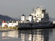 Dawn Stern