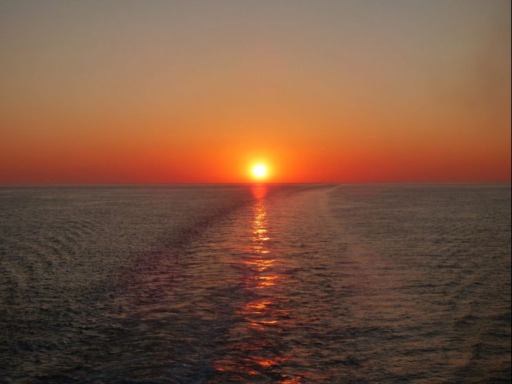 Dawn Stern