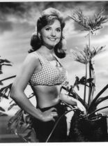 Dawn Wells