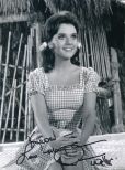 Dawn Wells