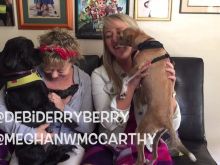 Debi Derryberry