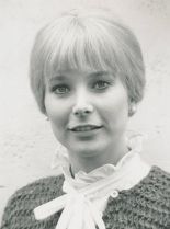 Deborah Raffin #918087 picture (Portrait Medium)