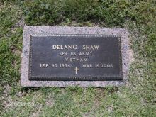 Dee Shaw