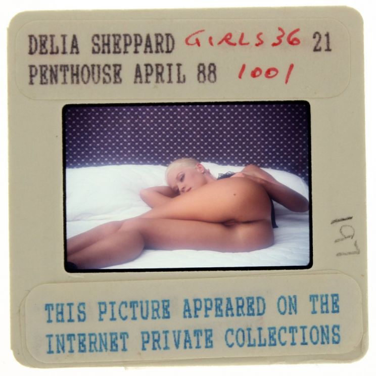 Delia Sheppard