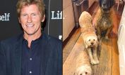 Denis Leary