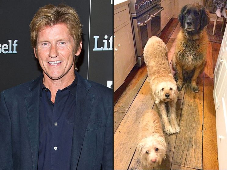 Denis Leary