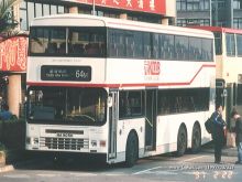 Dennis Dragon