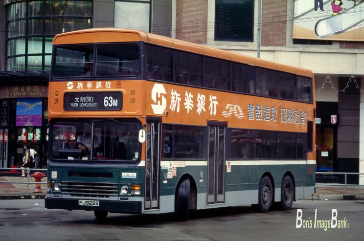 Dennis Dragon