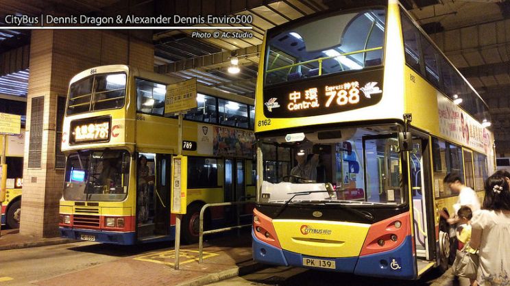 Dennis Dragon