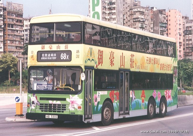 Dennis Dragon