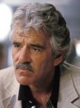 Dennis Farina