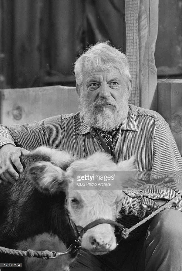 Denver Pyle