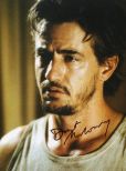 Dermot Mulroney