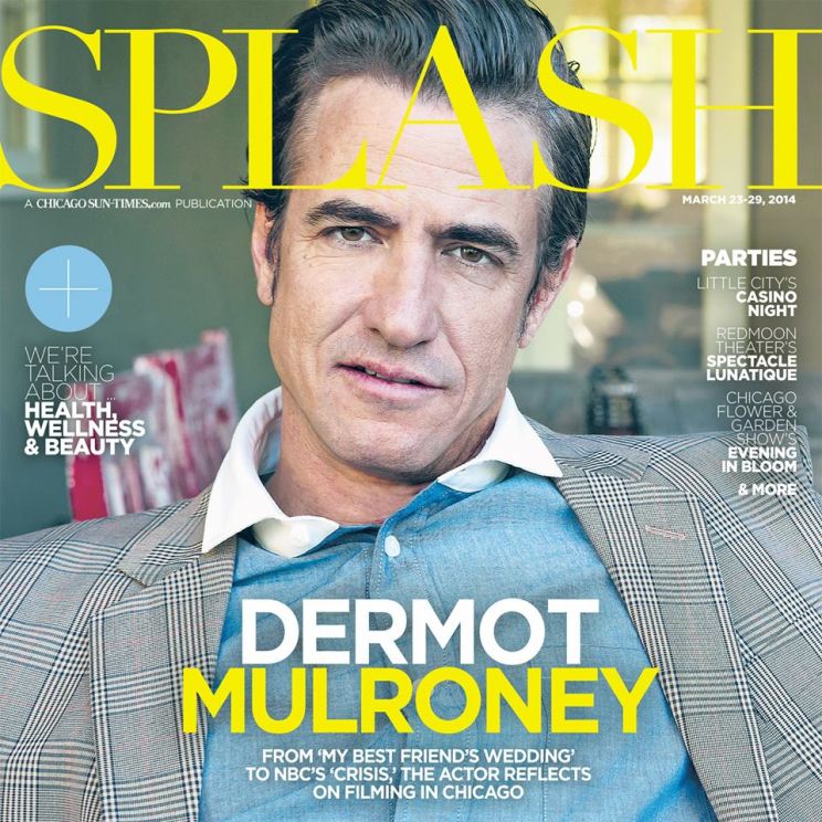 Dermot Mulroney