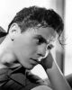Desi Arnaz