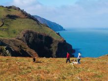 Devon