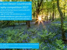 Devon