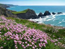Devon