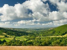 Devon