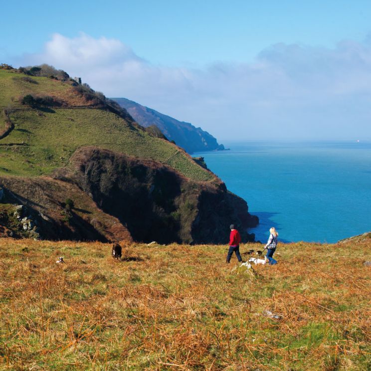 Devon