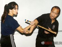Diana Lee Inosanto