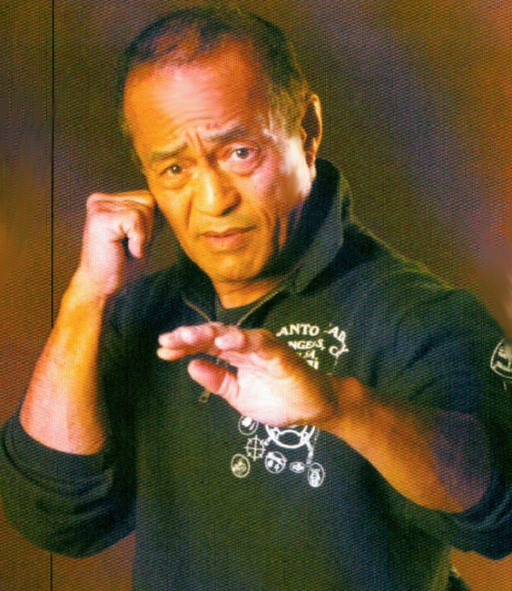 Diana Lee Inosanto