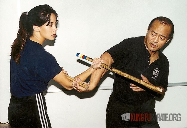 Diana Lee Inosanto