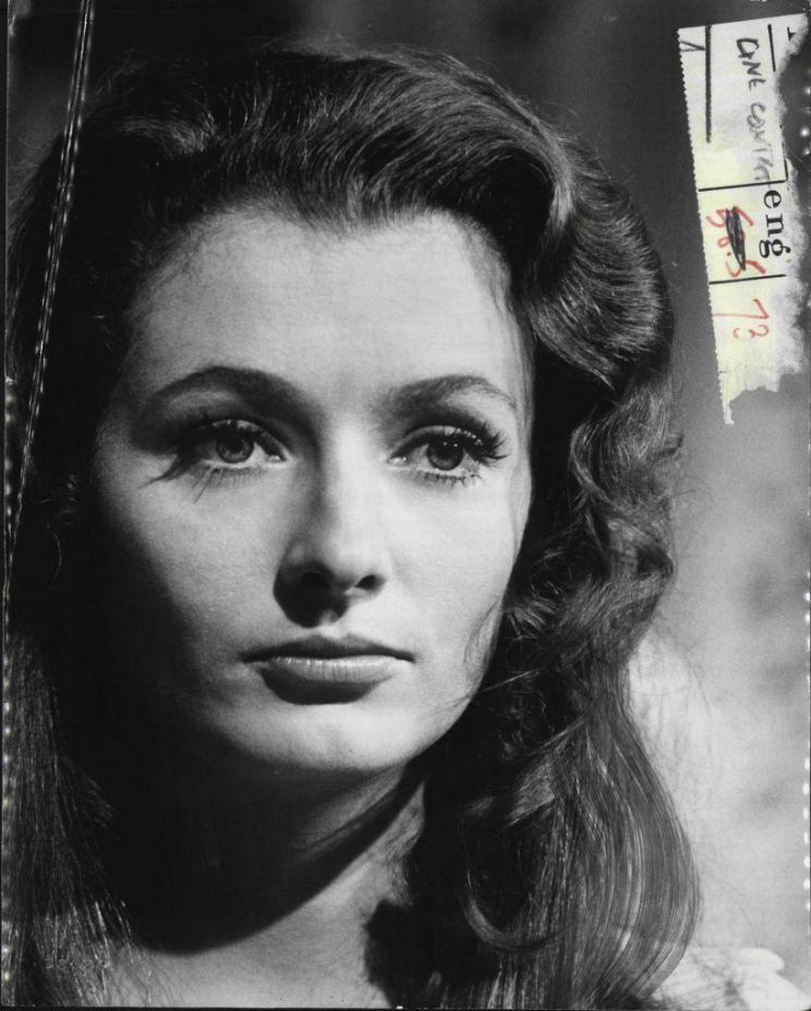 Diana Muldaur