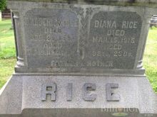Diana Rice photo