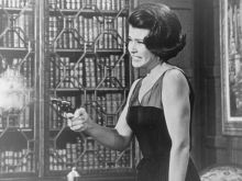Diane Baker #630852 picture (Landscape Medium)