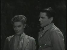 Diane Brewster