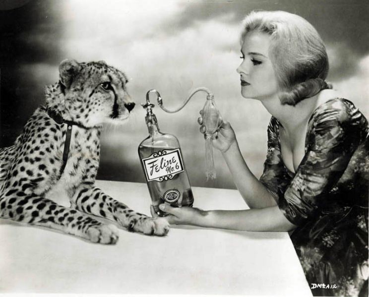 Diane McBain