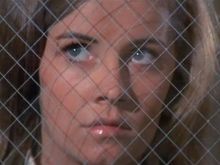 Dianne Hull