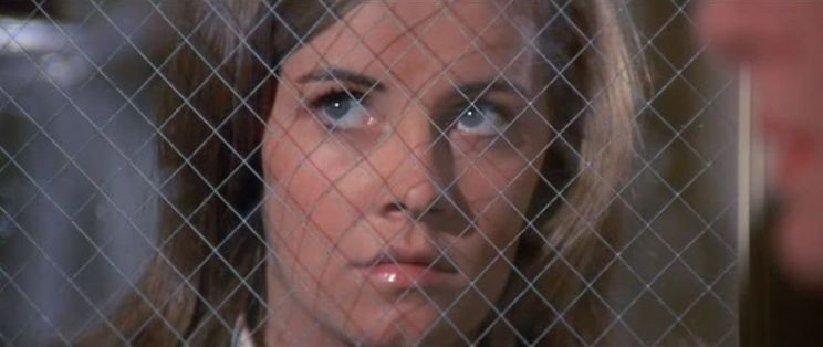 Dianne Hull