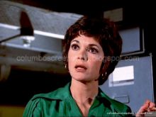 Dianne Travis