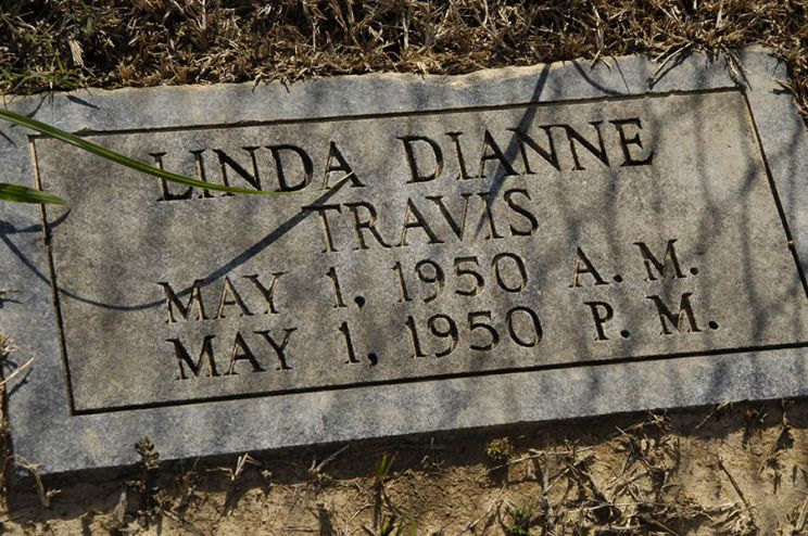 Dianne Travis